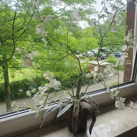 Moevenschiss * וורמן