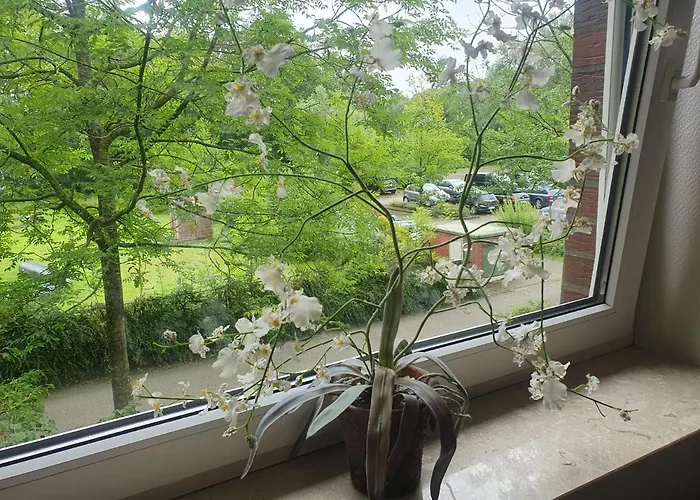 Moevenschiss * Wremen