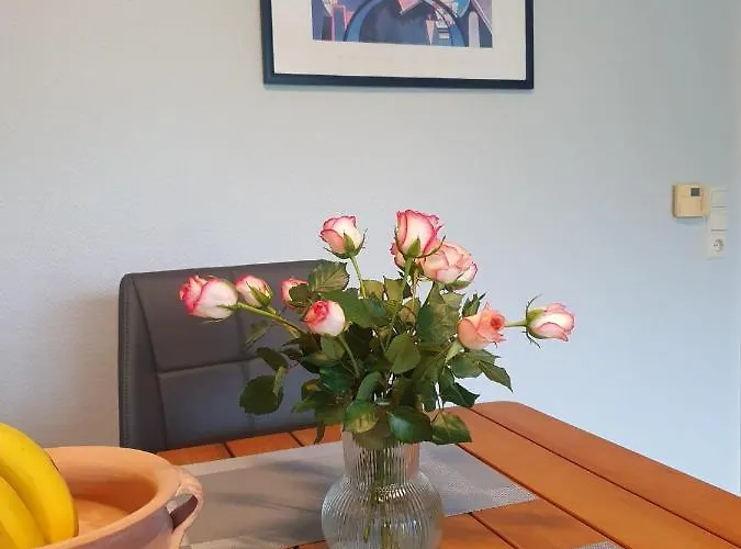 Moevenschiss Daire Wremen